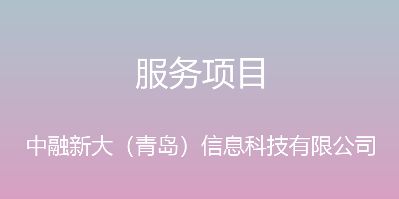 服务项目 - 中融新大（青岛）信息科技有限公司